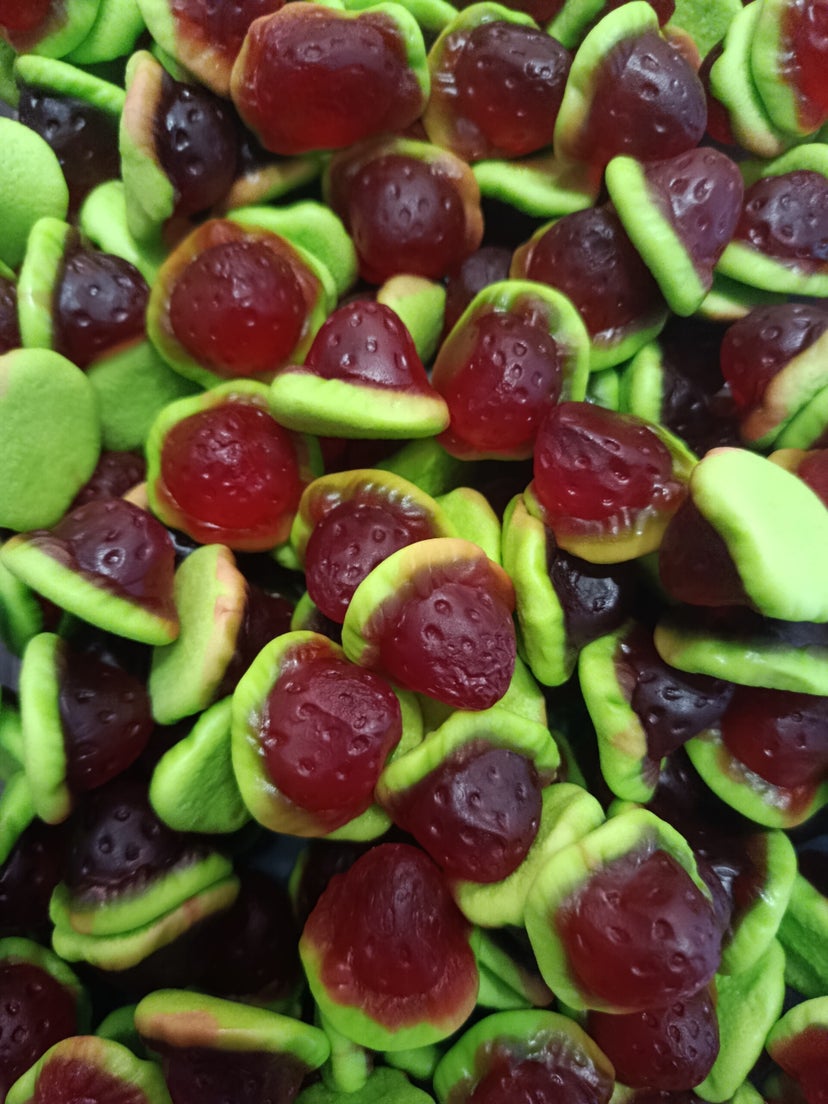 Damel fraise fourré halal DLC: 04/2027