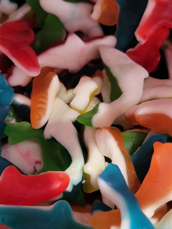 Requins lisses DLC: 12/2026