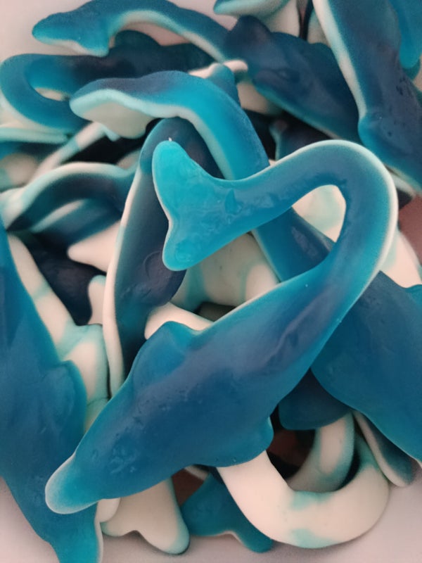 Dauphins géant DLC: 09/2026