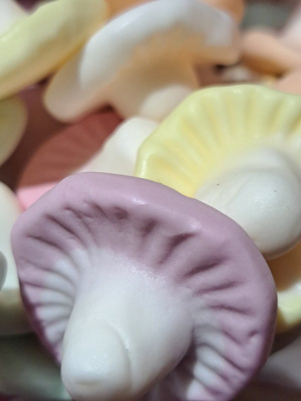 Champignons Frisia DLC: 09/2026